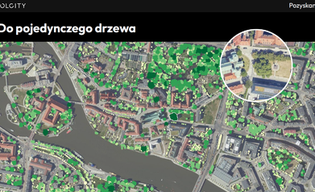 Zrobili wielką lotniczą inwentaryzację drzew