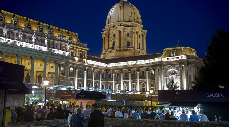 Idén se hagyjuk ki a Budapest Borfesztivált, ahogyan a külföldi és hazai kiállítók finom, minőségi borait se / Forrás: SPAR