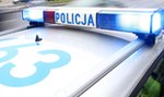 Próba porwania 11-latki. Policja szuka sprawcy