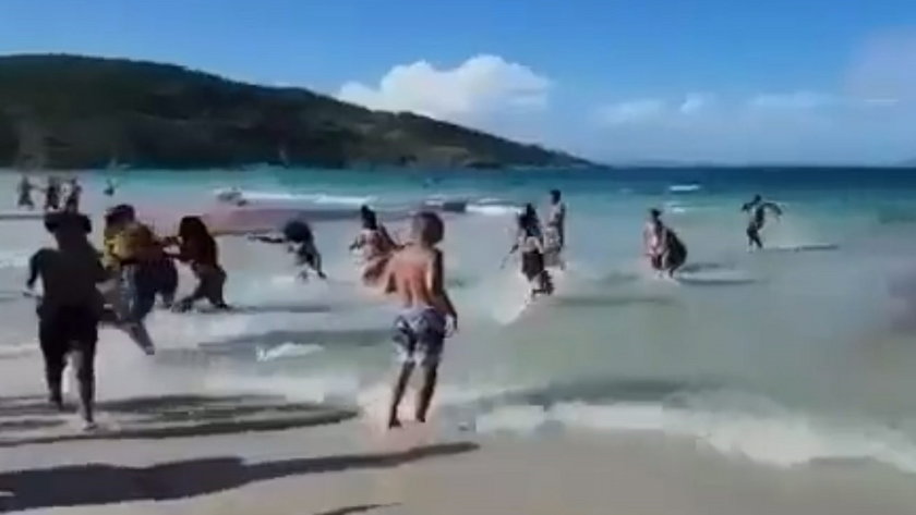 Panika na plaży w Brazylii. Ludzie uciekali w popłochu. Myśleli, że to rekiny