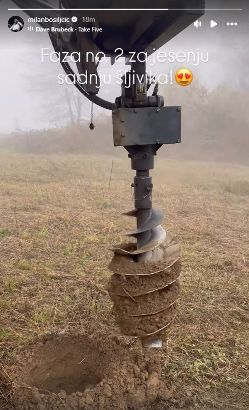 Milan Bosiljčić sadi šljive na imanju