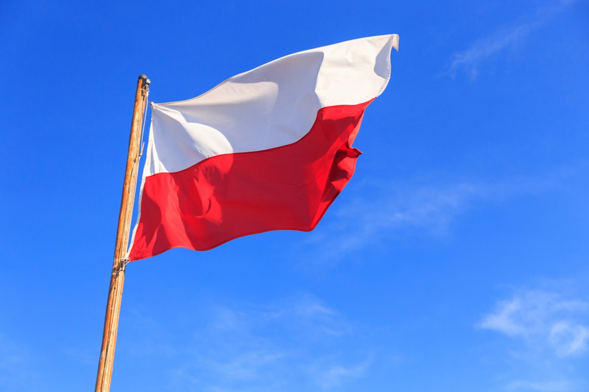 Symbole narodowe jako znaki urzędowe nie podlegają prawu autorskiemu, ponieważ są wspólną własnością zbiorową.