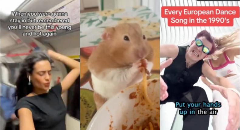 Top TikTok videos from this year included dancing, singing, and cute animals.@TikTok