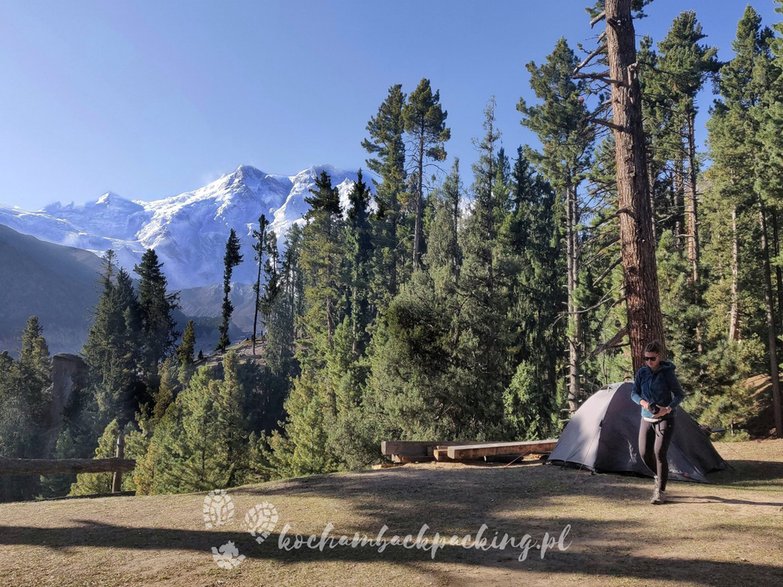 Fairy Meadows, czyli jedno z najpiękniejszych miejsc na camping w Pakistanie. 