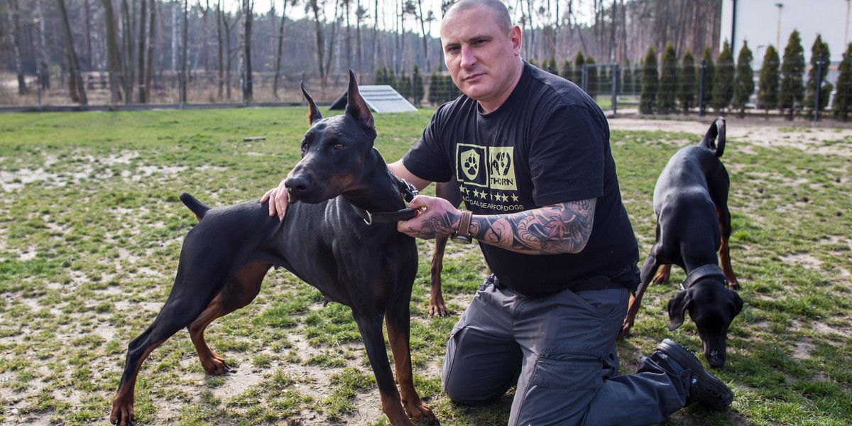 Opiekuje się psami ludzi na kwarantannie