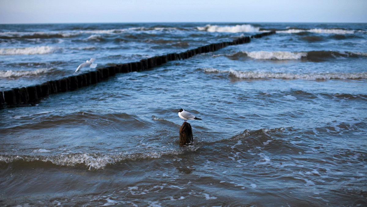 Kołobrzeski sanepid otworzył ponownie kąpielisko plaży centralnej w Ustroniu Morskim, które od czwartku pozostawało zamknięte z powodu przekroczenia normy stężenia bakterii E. coli. Nadal nie można się jeszcze kąpać w Jarosławcu, na plaży „Rusinowo”.