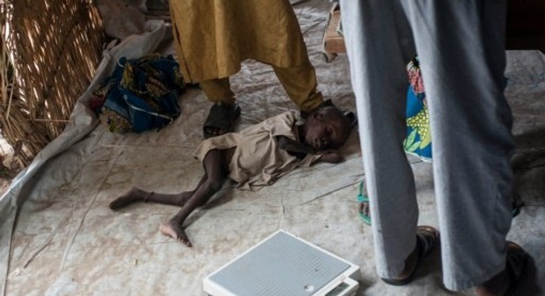 Food crisis in NE Nigeria like Darfur, S.Sudan: UN