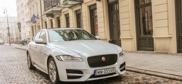 Jaguar XF 3.0 TDV6 R-Sport – Gentleman z pazurem| TEST