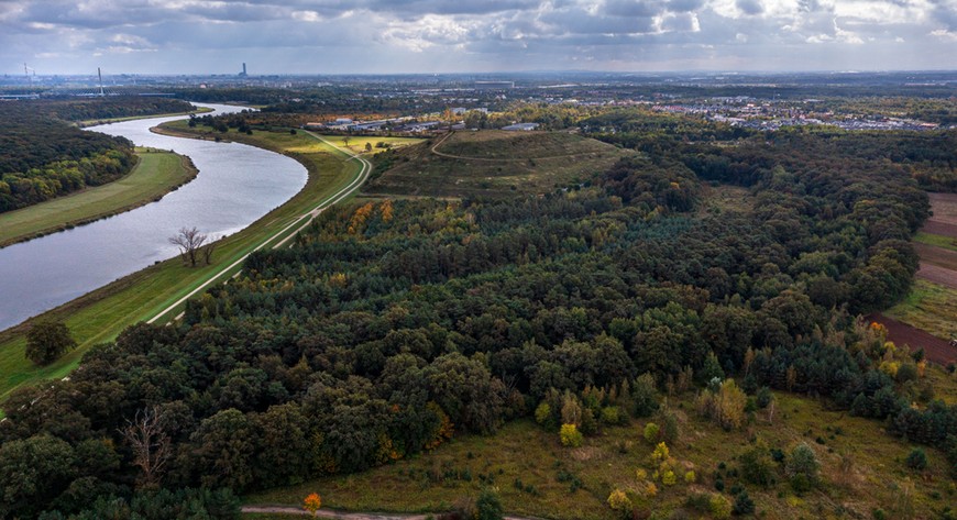 W Lesie Prackim żyje 71 rzadkich i chronionych gatunków zwierząt. Znajdziemy także 174 gatunki roślin naczyniowych czy pomnik przyrody.