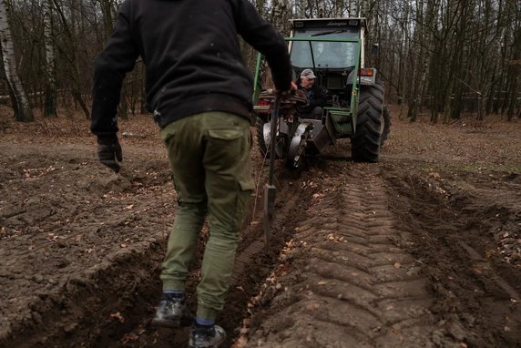 Wielkie zalesianie Łodzi. Powstanie 150 hektarów nowych lasów!