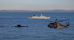 europa zapoluje na "czerwone październiki". trzy państwa odciążą usa