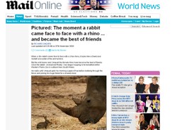 Królik największym kumplem nosorożca