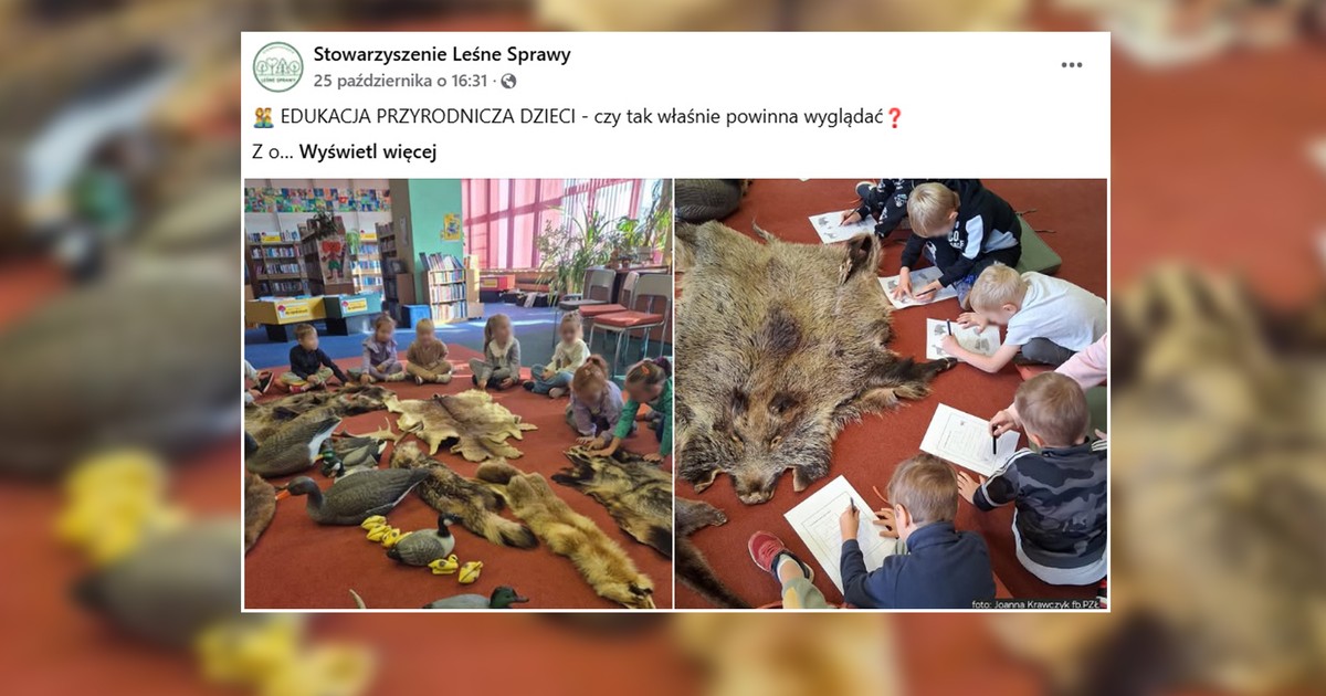 Przedszkolaki nad truchłami zwierząt. Internauci wściekli na myśliwych. "Zwyrodnialcy"