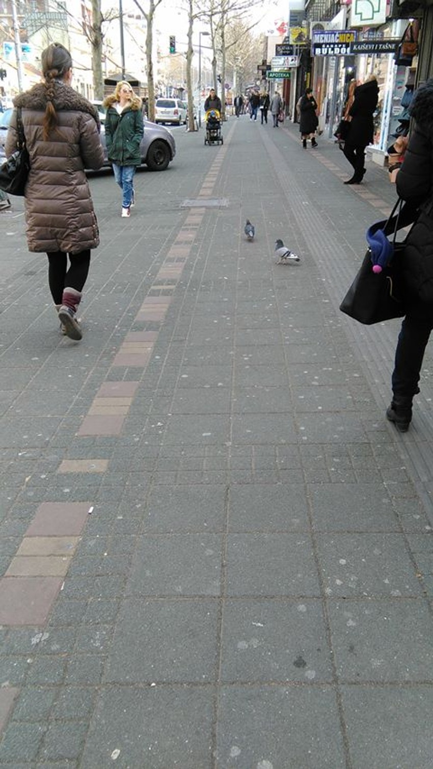 Bulevar kralja Aleksandra