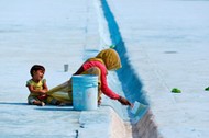 A woman paints the floor of a pond as her child pulls at her saree in Delhi