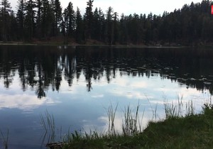 AP_bube_na_jezeru_vesti_blic_safe