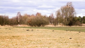 Europa na progu suszy. Najnowsze dane pokazują, jak szybko tracimy wodę. Polska zagrożona