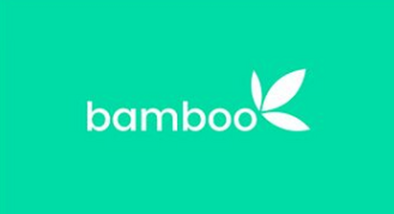 Bamboo is a Nigerian company using tech to facilitate investing overseas easily