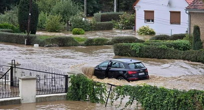 Pułapka na kierowców. Po tym kroku nici z odszkodowania