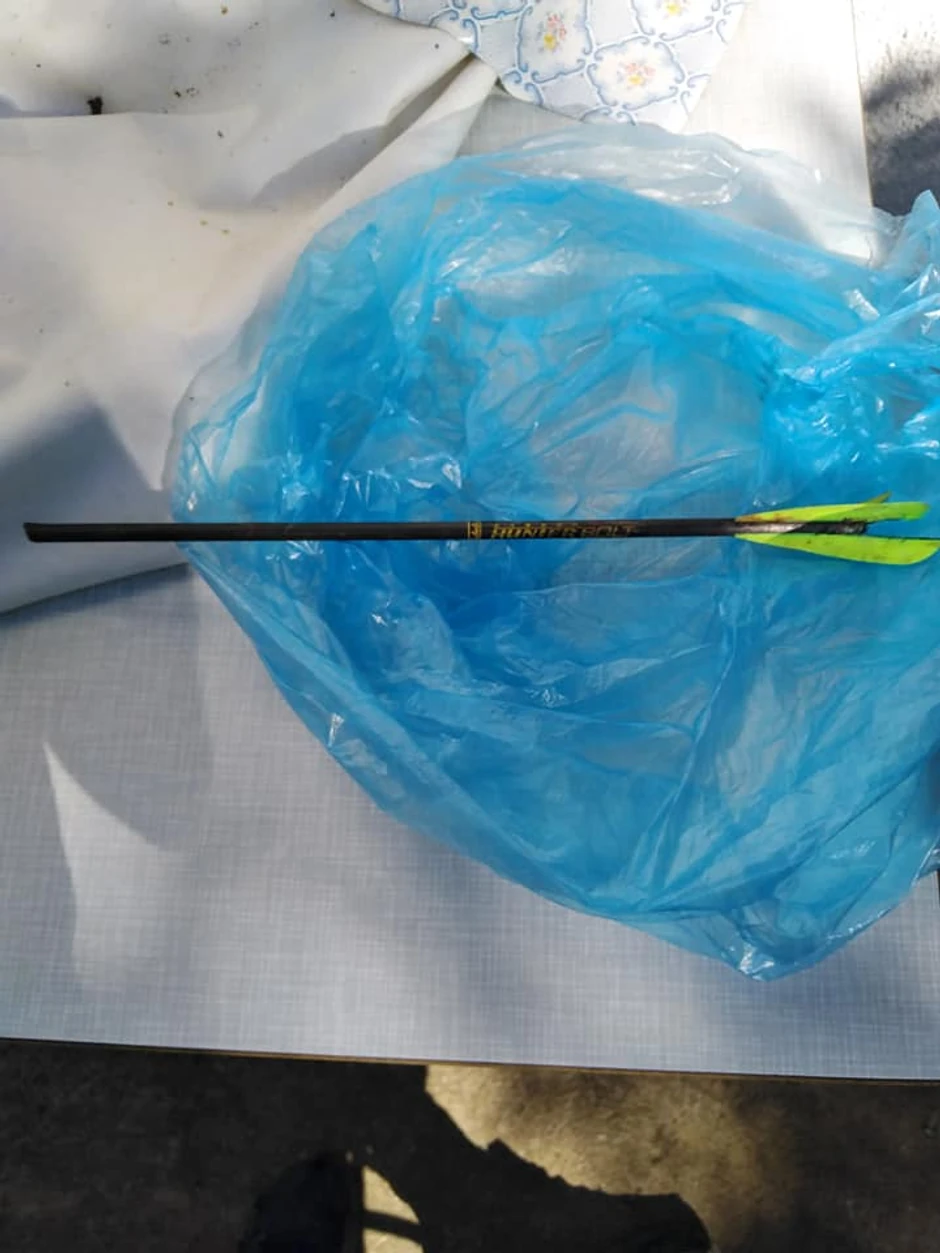 povređen pas, strela