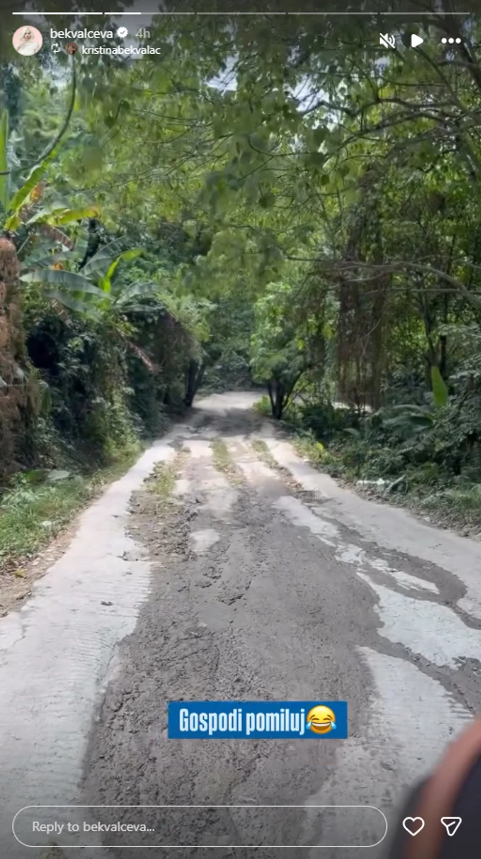 Nataša Bekvalac, objava