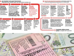 Nowe prawo jazdy: Sygnity pozwie do sądu WORD-y, a starostwa - państwo?