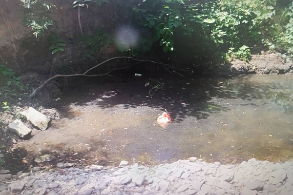 Emir Selimović i Inela Selimović