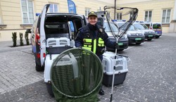 Jadowity skorpion wypełzł z kurtki w toruńskim sklepie