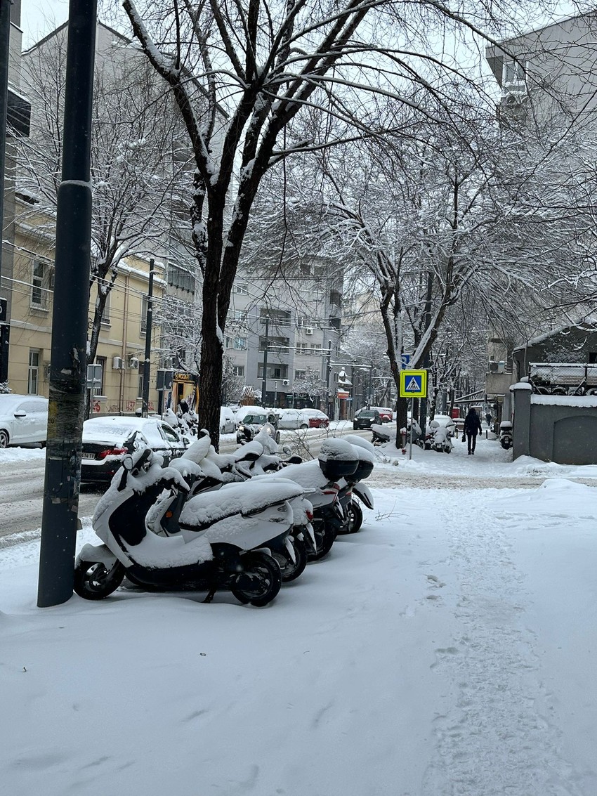 Sneg u Beogradu, Dorćol