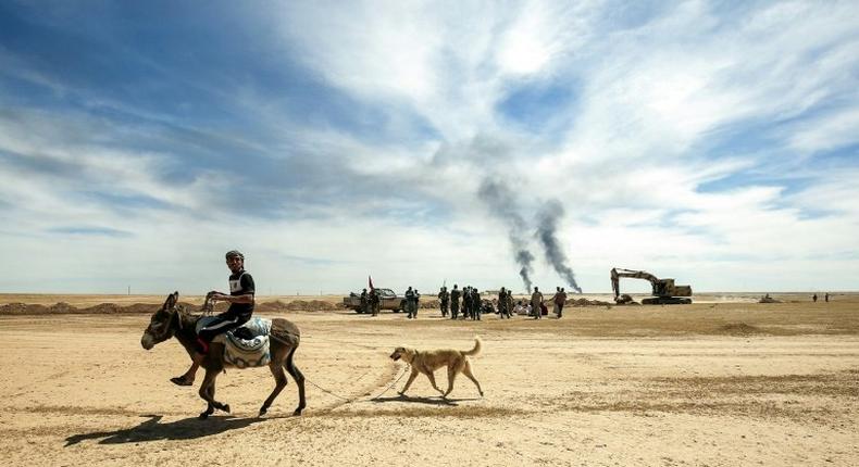 A displaced Iraqi man rides a donkey, followed by his dog, on April 26, 2017 as pro-government paramilitary forces advance on the ancient city of Hatra, southwest of of Mosul, during an offensive to retake the area from the Islamic State group