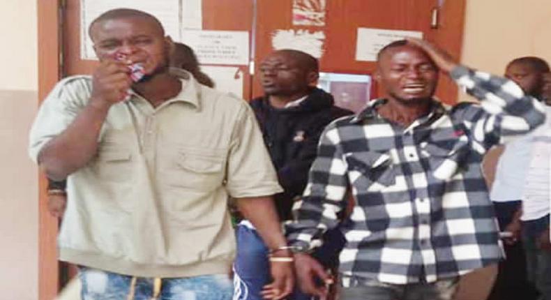 Court convicts siblings