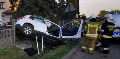 Pijany wjechał na plac zabaw w Częstochowie! [WIDEO]