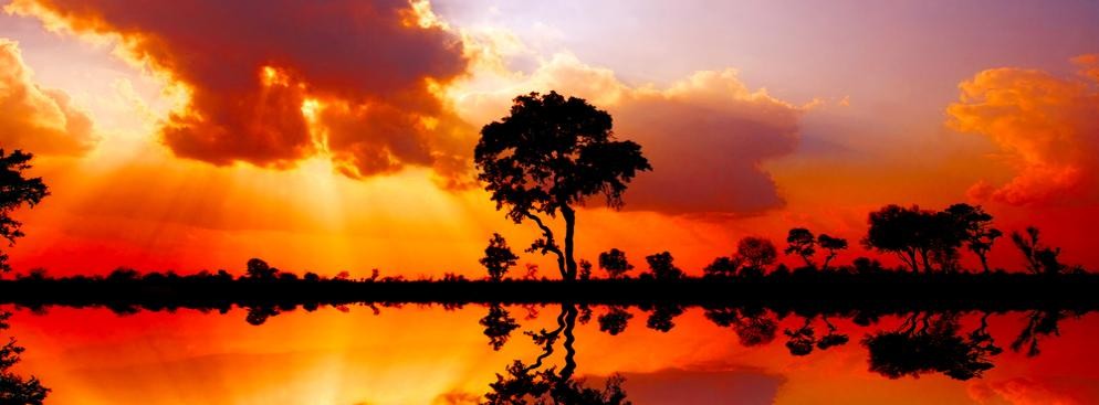 Park Narodowy Krugera w RPA – nosi miano największego parku narodowego w Afryce (jego powierzchnia to 2 mln hektarów). Turyści mają możliwość „zamieszkania” w tym parku. Na jego terenie działa bowiem 9 kempingów, które umożliwiają wynajęcie miejsca noclegowego.  Park został założony w 1898 roku. W parku Krugera można zobaczyć m.in.: lwy, lamparty, bawoły afrykańskie, nosorożce oraz słonie.