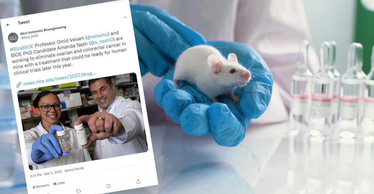 Kuleczki, które pobudzają układ odpornościowy do walki z rakiem, nazwano "fabryką leków" (Fot. twitter.com/@Rice_BIOE)