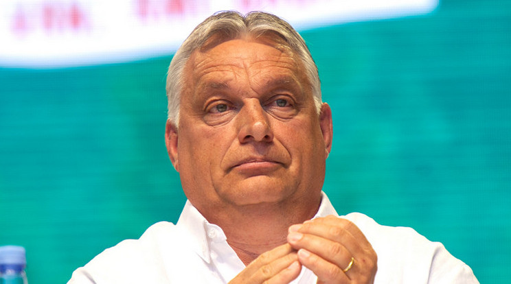 Orbán Viktor sokféle munkát elvállalt a barátaival, akikkel később megalapította a Fideszt /Fotó: Blikk
