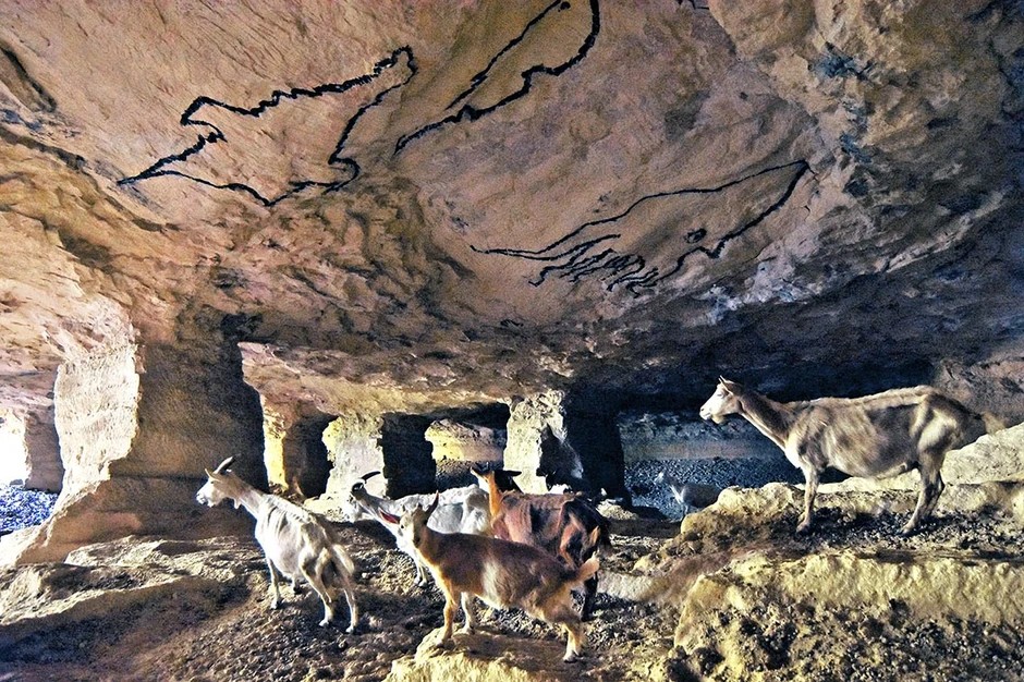 Rakovac, Beli Majdan