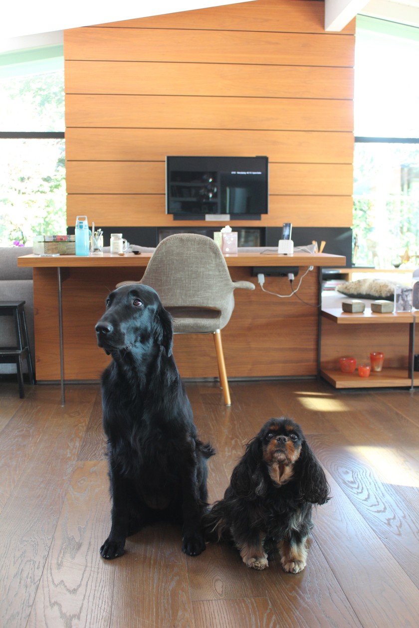 Auch die Familienhunde fühlen sich sichtlich wohl. 