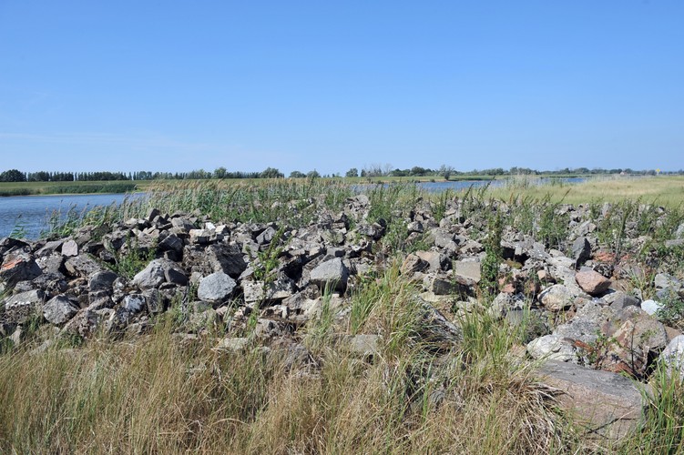 Odsłonięte brzegi Odry