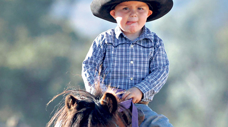 Kétéves rodeósztár