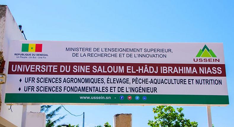 Université El Hadji Ibrahim Niass (Ussein)
