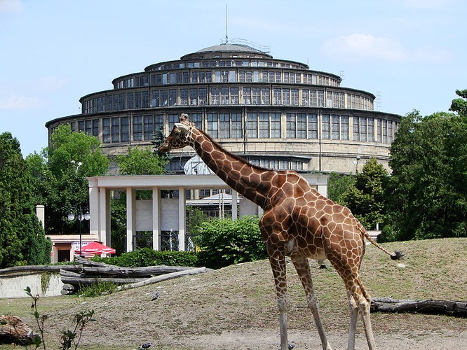 Ogród zoologiczny we Wrocławiu – założone w 1865 roku zoo, jest najstarszym ogrodem zoologicznym w Polsce. W liczącym 30 hektarów ogrodzie jest największa ilość zwierząt, które zamieszkują ogrody zoologiczne w Polsce. W 2005 roku we wrocławskim zoo przebywało blisko 7100 zwierząt kręgowych.