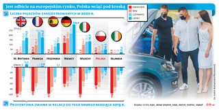 Polski rynek samochodowy jedzie w górę bez pomocy