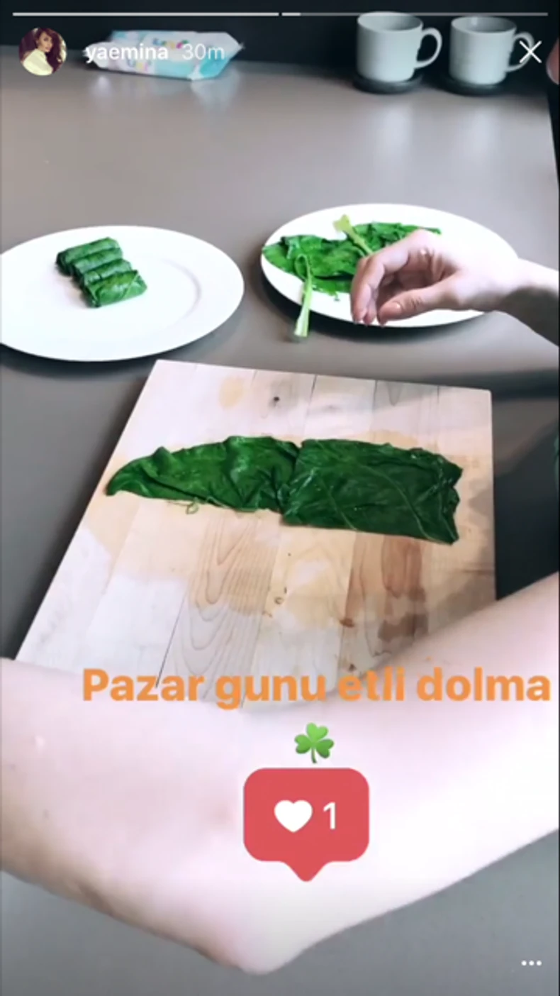 Emina Jahović zavija sarmice