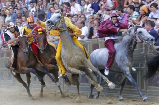 PALIO SIENA