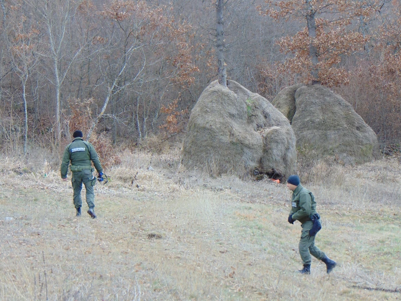 Policijska potraga se proširila ka Zaječaru