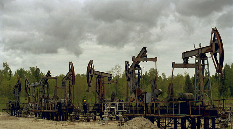Munka egy olajmezőn az oroszországi Tomszkban / Fotó: Northfoto