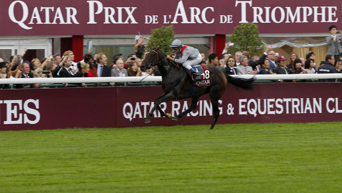 Wielkimi krokami zbliża się najbardziej wyczekiwany wyścig we Francji, Quatar Prix de l'Arc de Triomphe. Jest to gonitwa grupy pierwszej dla koni 3-letnich i starszych na rozgrywana na dystansie 2400 metrów o puli nagród w wysokości 5 mln euro, gdzie aż 2 857 000 euro przypadnie zwycięzcy.