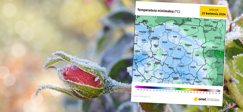 Nadchodzi główna fala zimnego powietrza. Przymrozki spowodują straty w uprawach