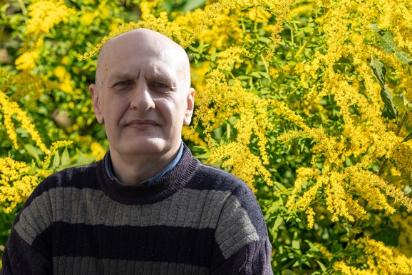 Najopasniji alergen je i potencijalni lek: Korov koji ovih dana kreće da cveta i zadaje muke milionima, krije neočekivanu moć