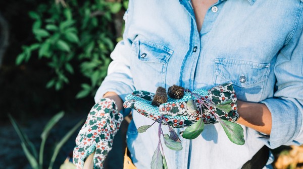 Sadzonki kolorowych kwiatów można było odebrać w zamian za niepotrzebne urządzenia elektryczne